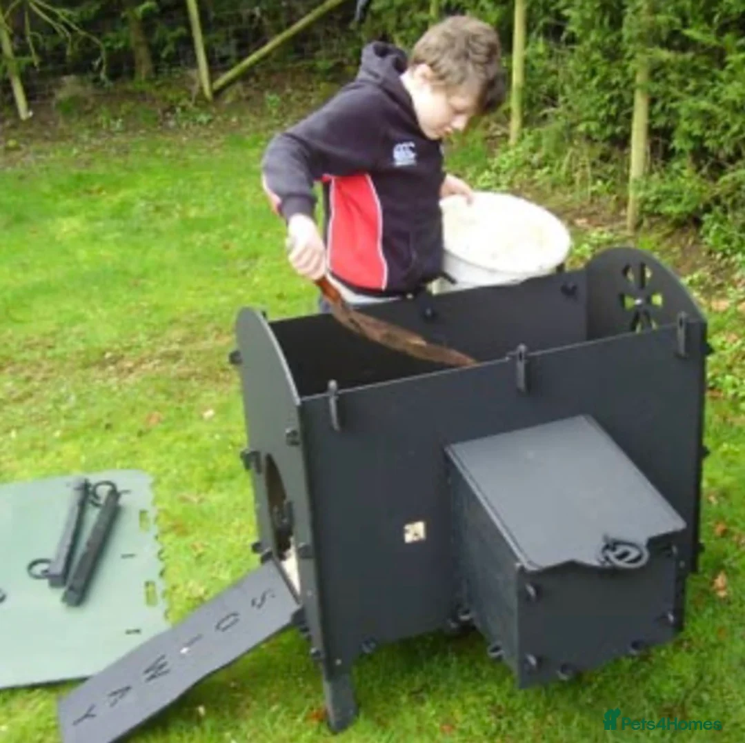 Mixed Breed poultry for sale: Eco Hen Loft - Recycled - 3/4 Hens - Advert 5