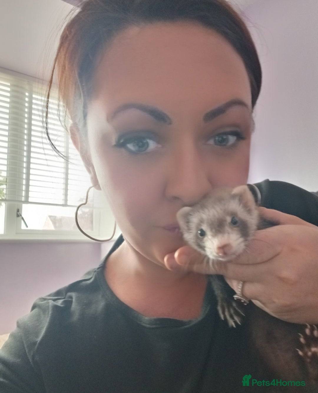 Ferret rodents for sale: 2 female ferrets  - Image 1