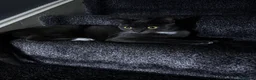 Mixed Breed cats for sale: For sale  - Advert 6