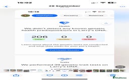 Sprocker dogs for sale: Beautiful working cocker spaniel pups FB1 - Advert 14