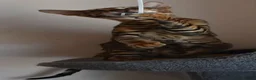 Toyger cats for sale: STUNNING WILD LOOKING TOYGER PEDIGREE CUBS - Advert 3