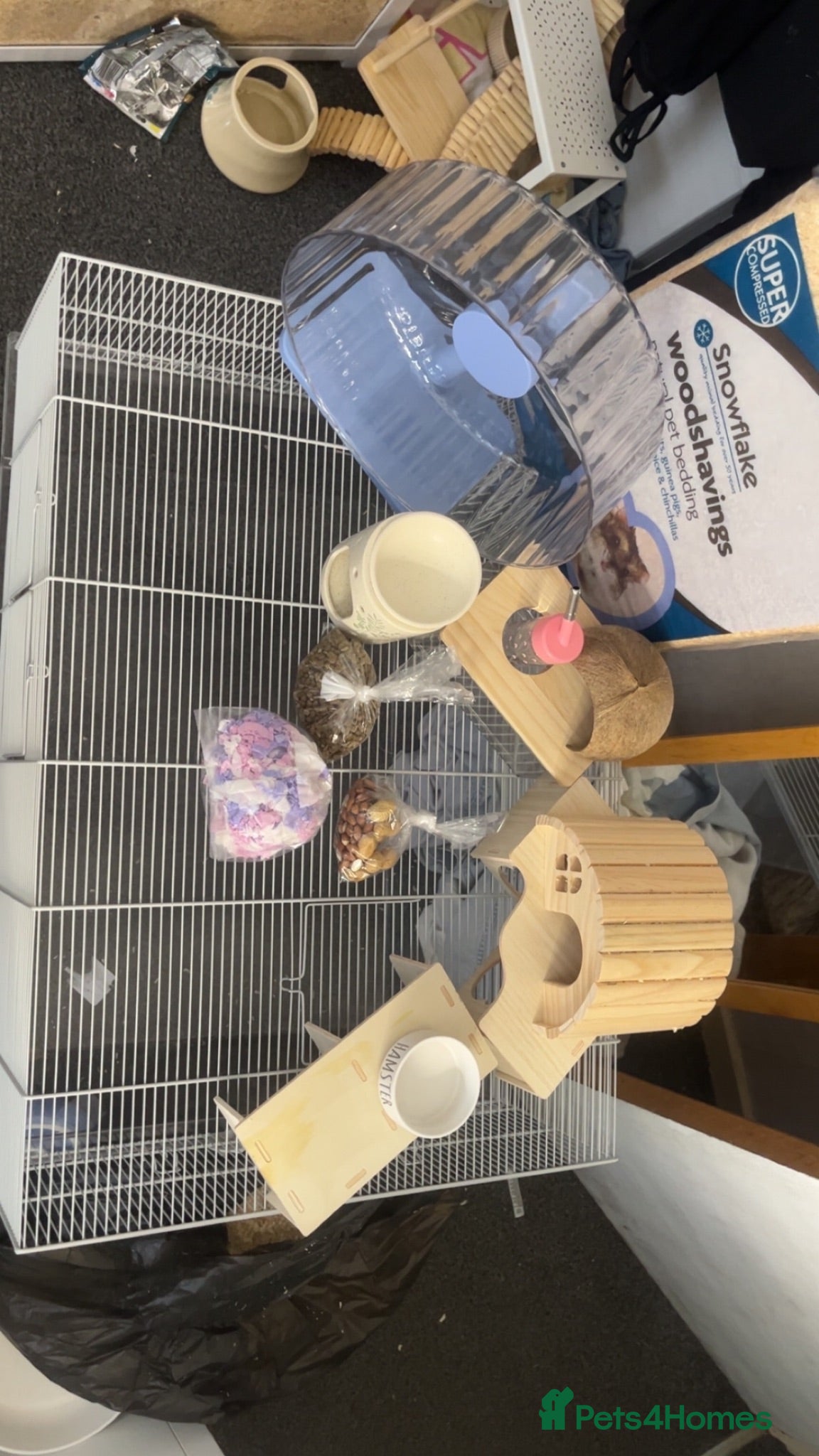 Hamster rodents Selling hamster and cage  - Advert 1