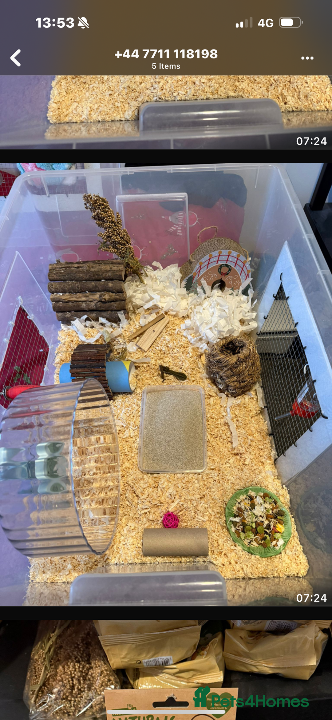 Hamster rodents for sale: Beautiful baby dwarf hamster  - Advert 2