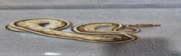 Python Snake reptiles for sale: Royal Python collection in Blackburn - Advert 17