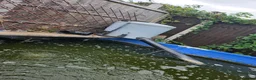 Pond Fish fish for sale: Mixture of koi, goldfish and others - Advert 1