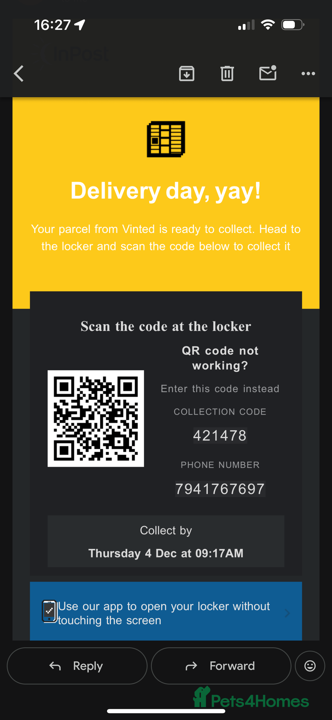 Cocker Spaniel dogs for sale: Stunning show cocker - Advert 3