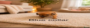 Boy blue