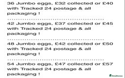Quail poultry for sale: QUAIL HATCHING EGGS/JULY 28TH ! in Warminster - Image 35