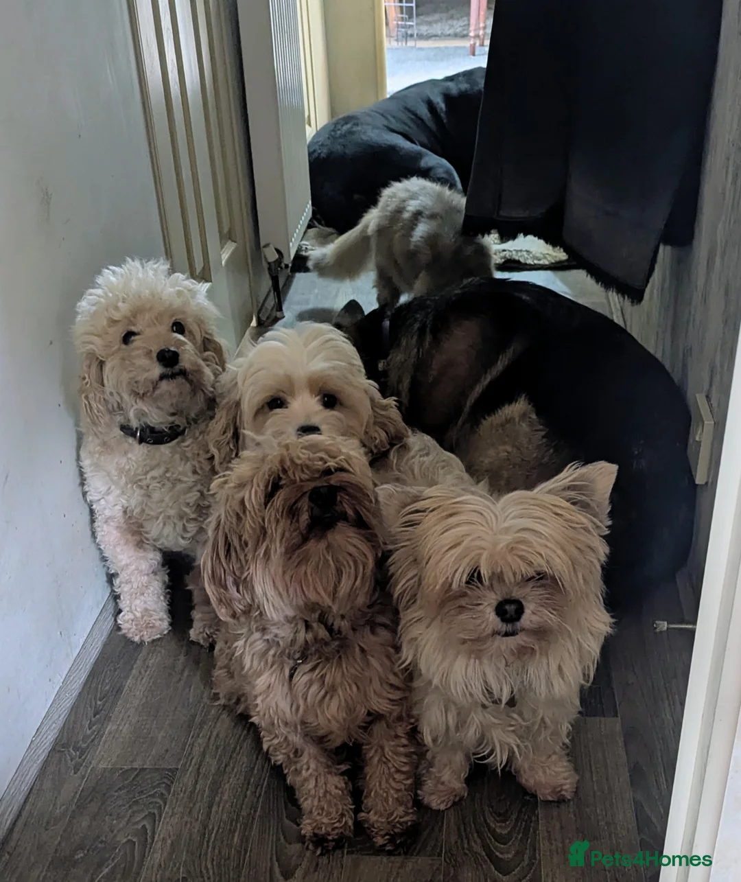 Gallery Image {{count}}