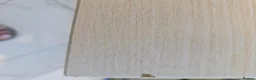 Leopard Gecko reptiles for sale: Leopard Gecko with 4ftx2ft Vivarium in Chatham - Advert 17