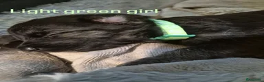 Light green girl 