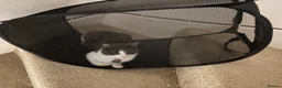 Mixed Breed cats for sale: Rehoming 2 cats - Advert 6