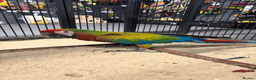 Macaws birds for sale: Gorgeous Baby hand reared Shamrock Macaw - Advert 1