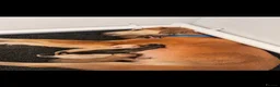 Lurcher dogs for sale: Beautiful Saluki Greyhound Puppies in Bishop Auckland - Advert 1