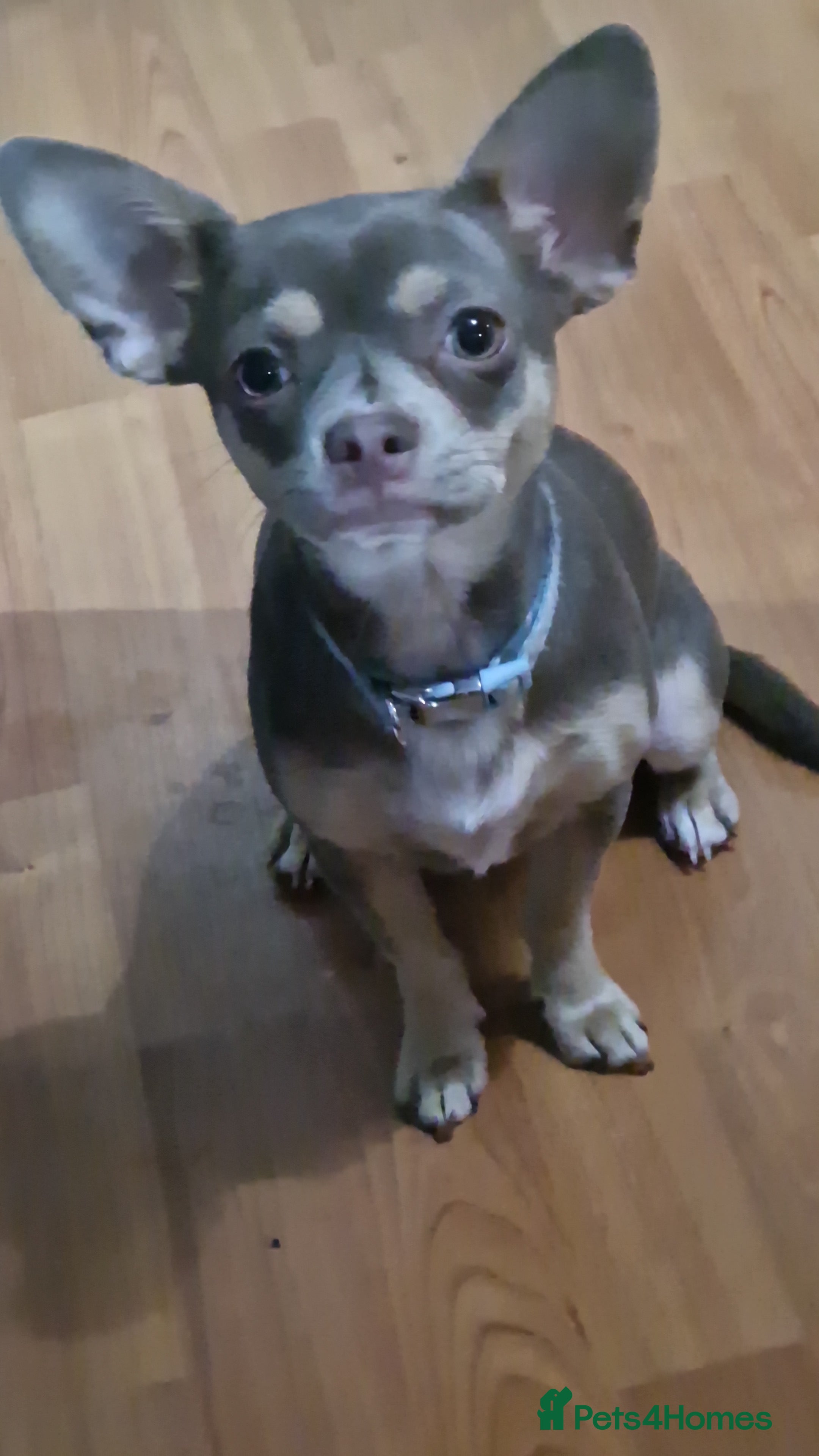 Reggie