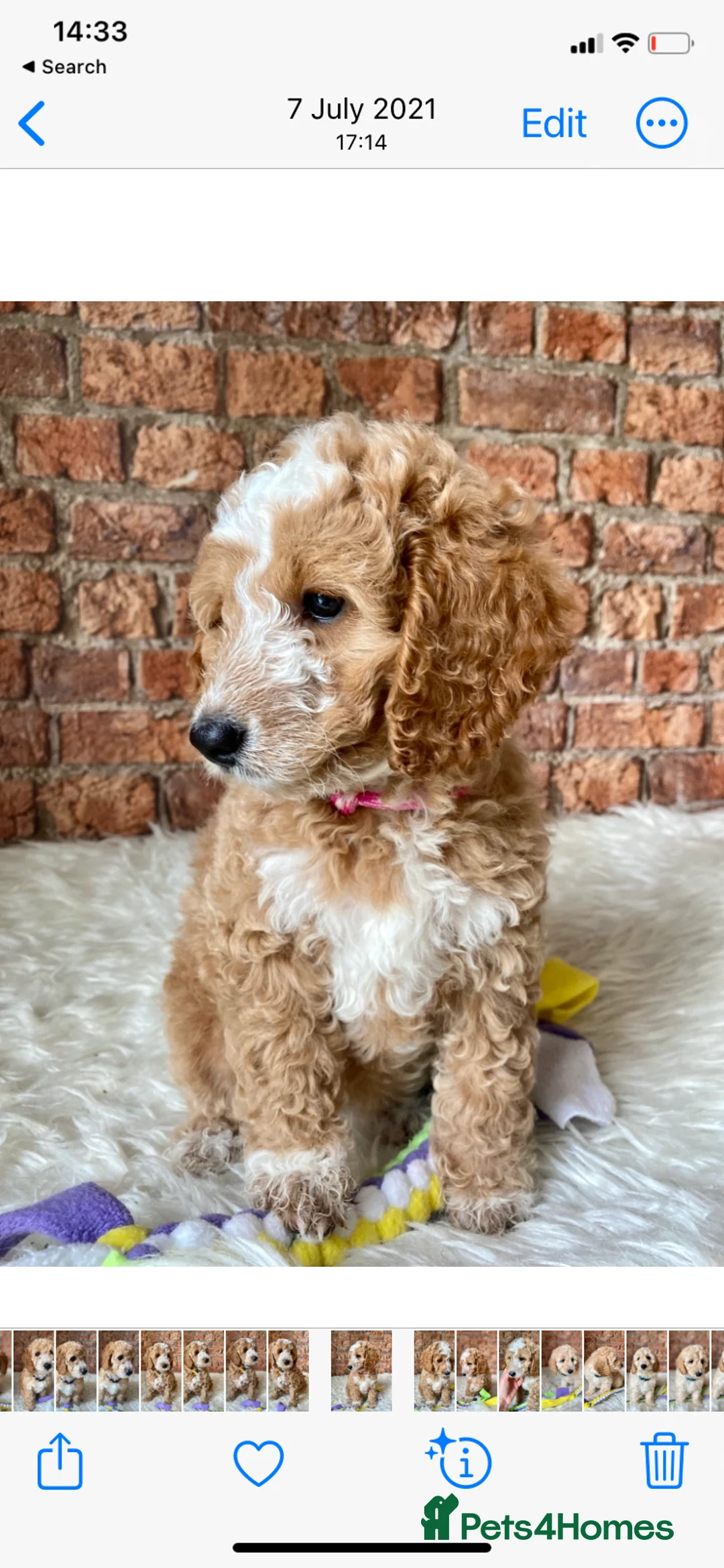 Gallery Image {{count}}