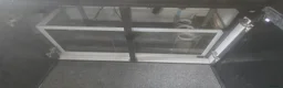 Turtle reptiles for sale: Turtle with tank. in Gravesend - Advert 2
