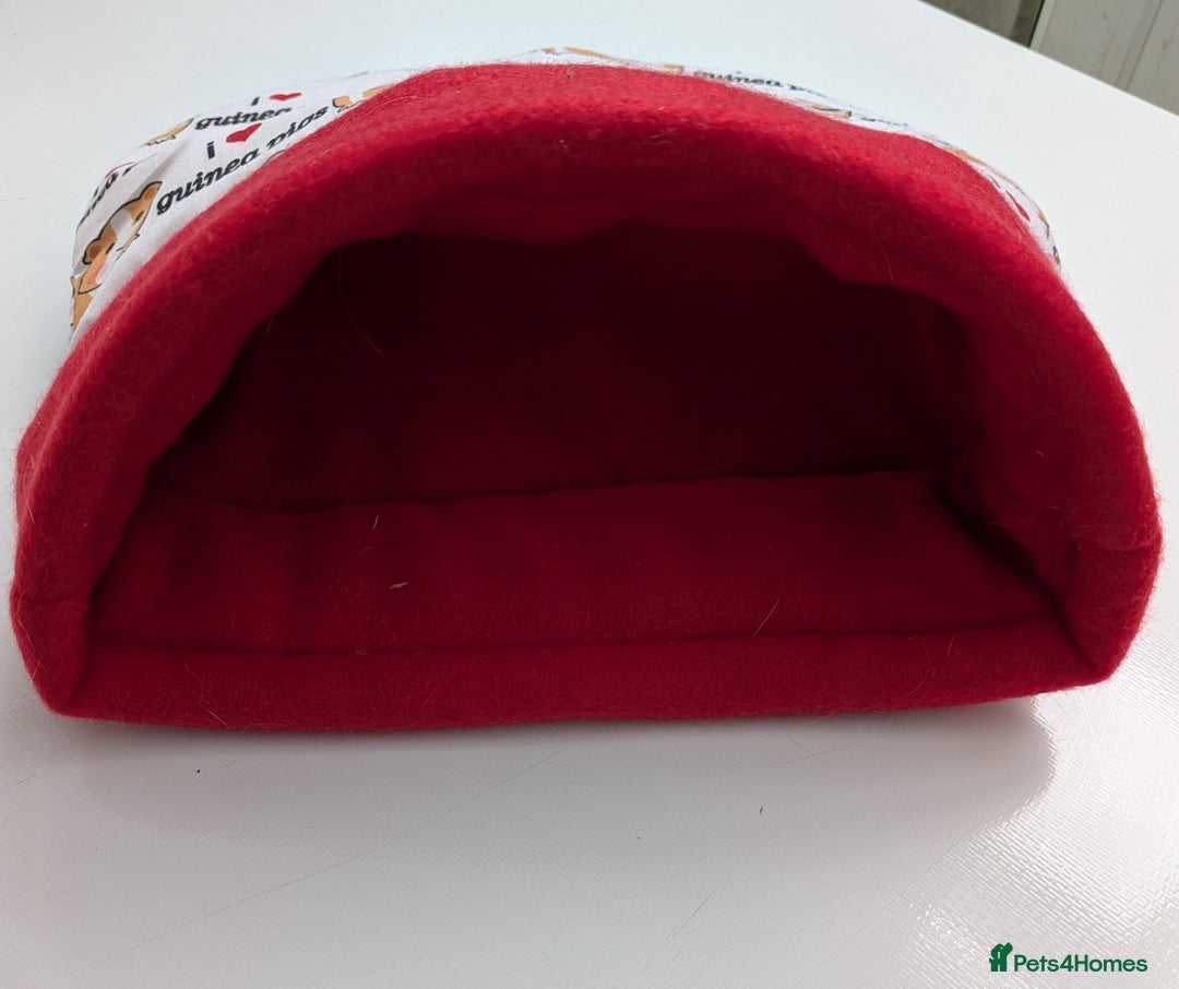Guinea Pig rodents for sale: Guinea pig/rabbit snuggle sock/bedding  - Image 8