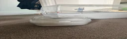 Mouse rodents for sale: 2 Female mice with cage & accessories  - Advert 7