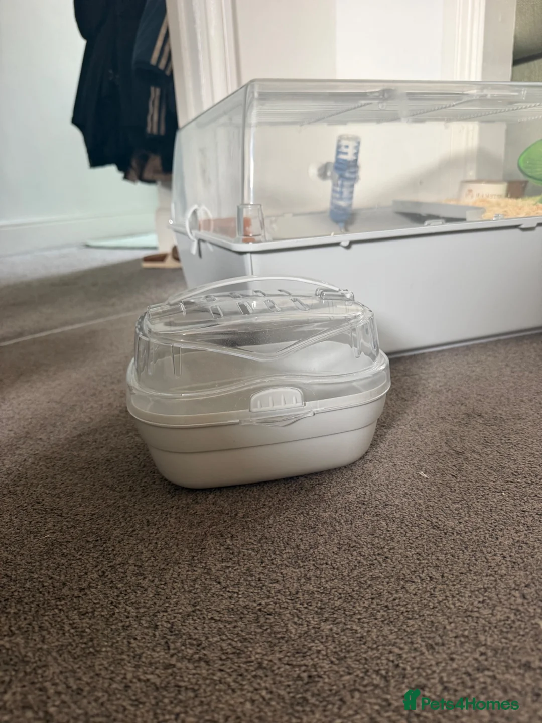 Mouse rodents for sale: 2 Female mice with cage & accessories  - Advert 7