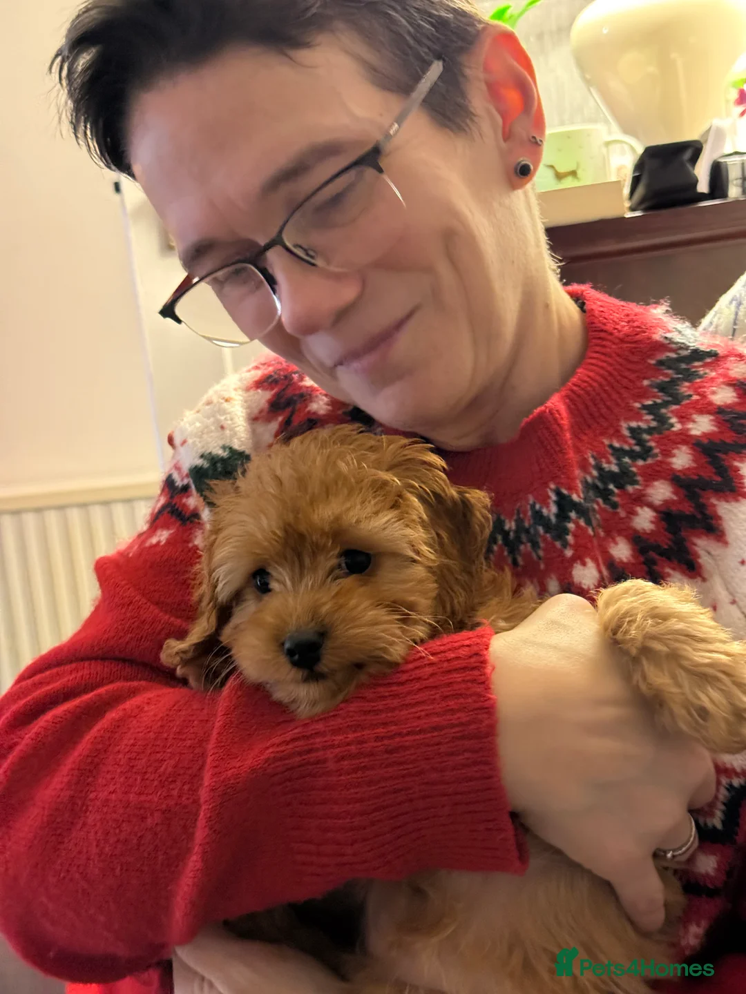 Gallery Image {{count}}