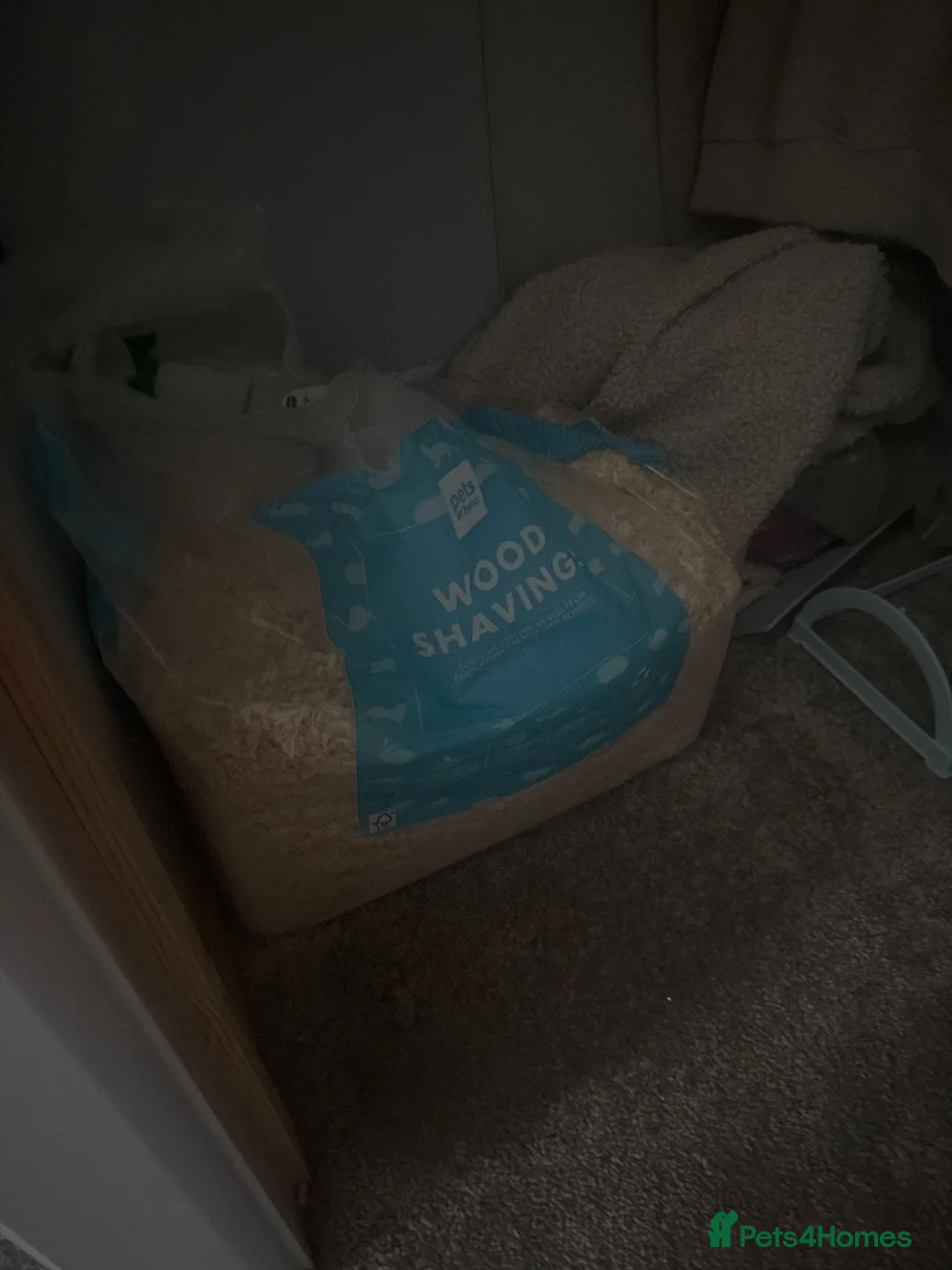Hamster rodents for sale: Syrian hamster and set up  in Wimborne - Advert 2