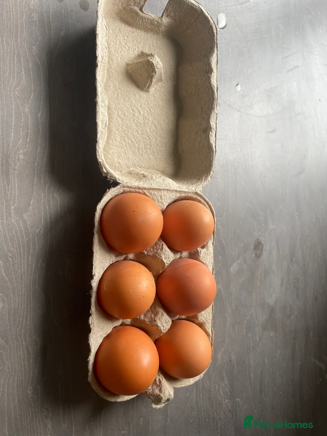 Chickens poultry for sale: 6x Chicken Hatching eggs  in Uttoxeter - Advert 6