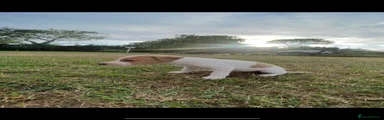 Lurcher 3