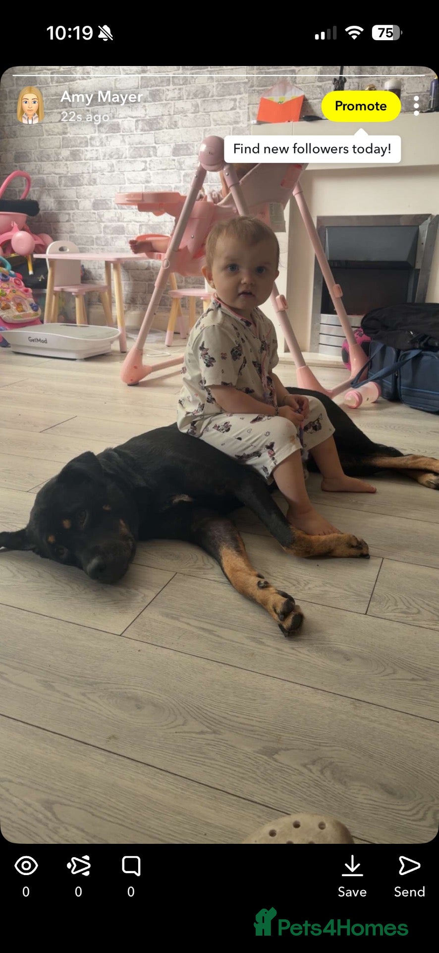 Mixed Breed dogs Myla  - Advert 1