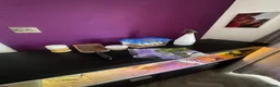 Bearded Dragon reptiles for sale: Bearded dragon + full vivarium setup + storage in Worthing - Advert 11