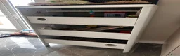 Guinea Pig rodents for sale: Two females - with full cage - Advert 8