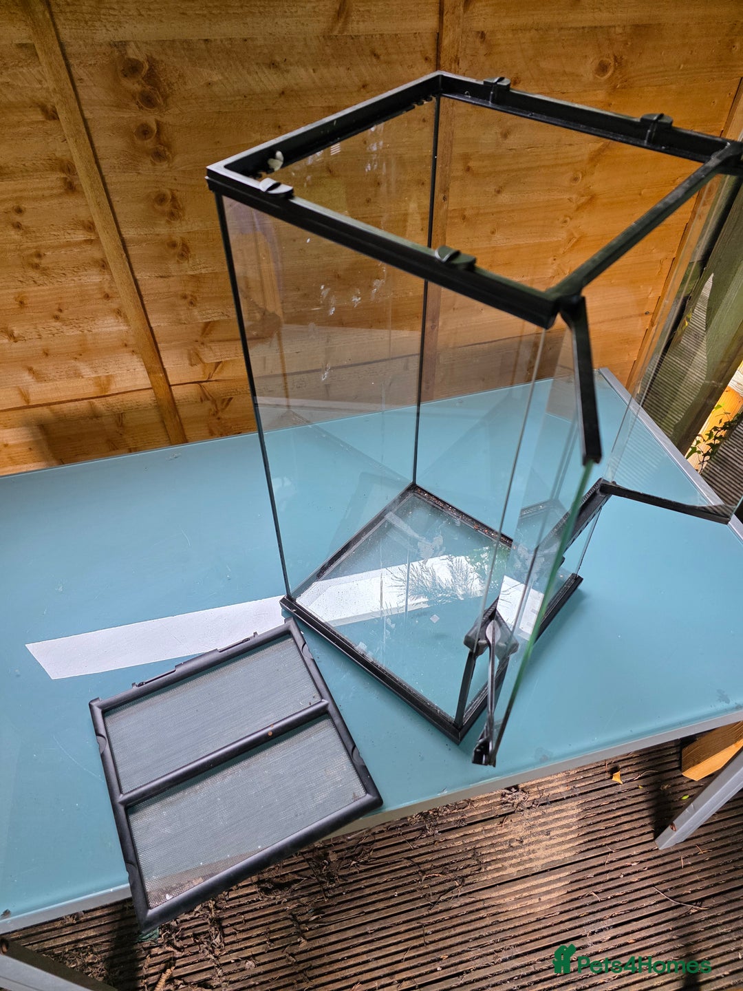 Frog reptiles for sale: Kit terrarium - Image 10