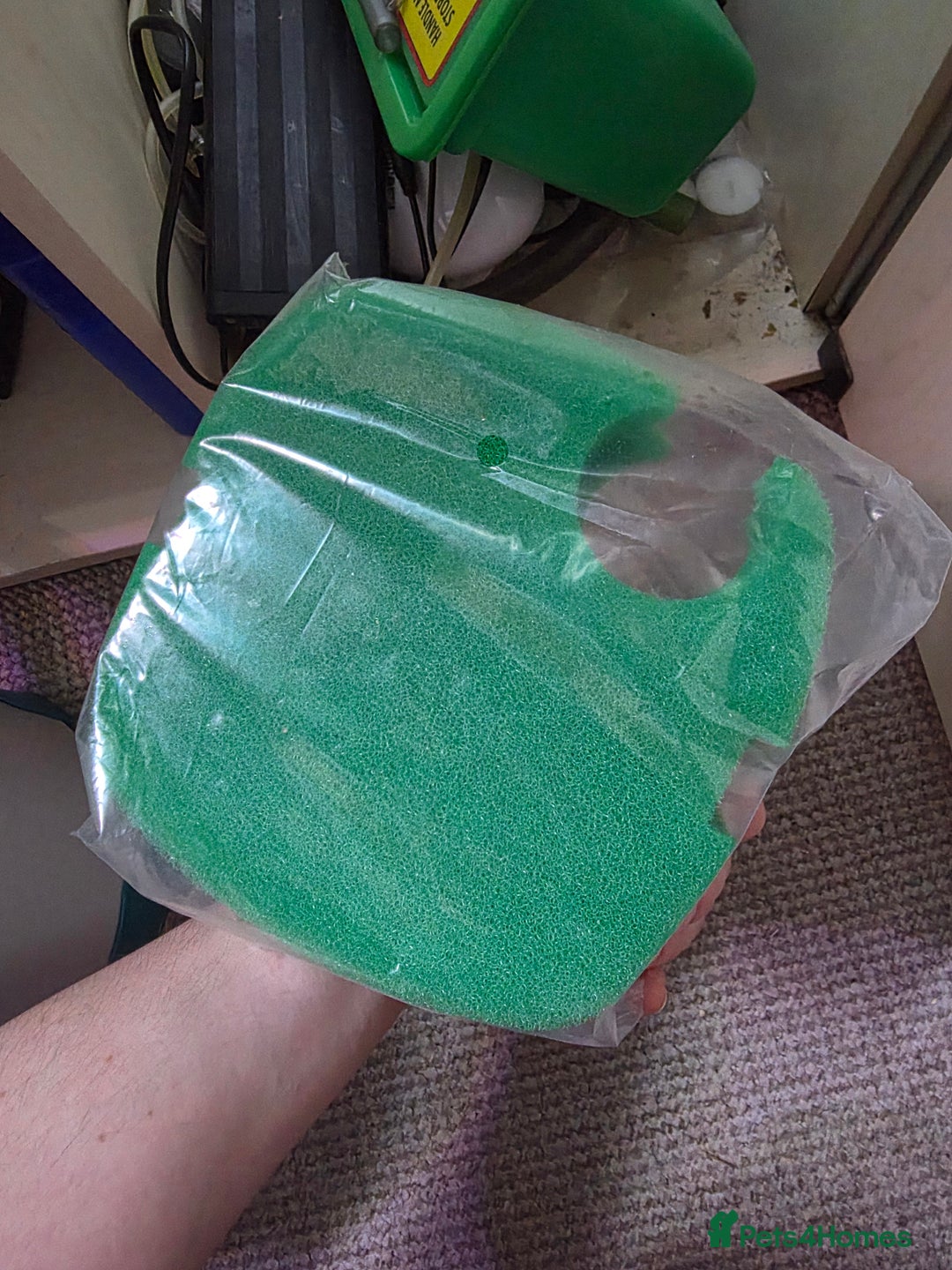 Shrimps fish for sale: Fishtank+accesories in Huntingdon - Advert 12