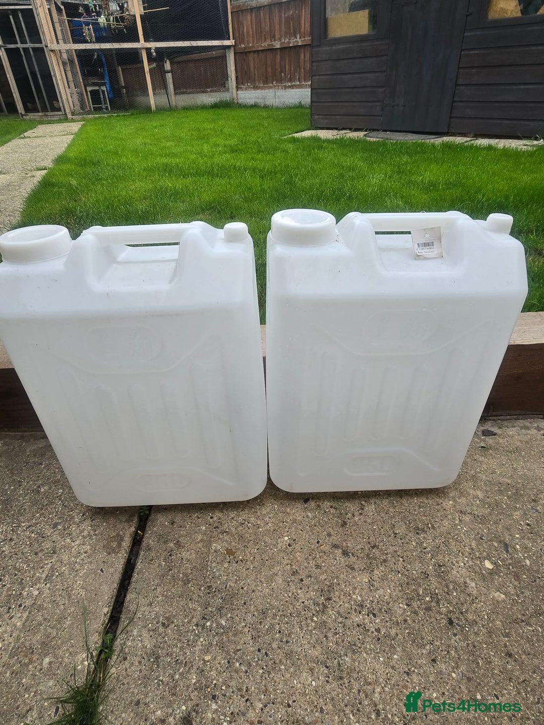 Other/Mixed Breed fish for sale: Complete marine set up with clowns - Image 4
