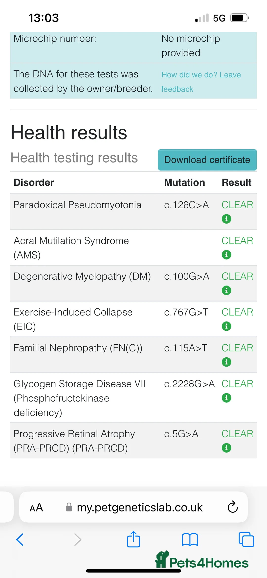 Cocker Spaniel dogs for stud: MERLE cocker spaniel at stud  in Rowlands Gill - Advert 9
