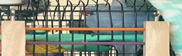 Ringnecks birds for sale: Stunning Blue Female Ringneck Parrot in Uxbridge - Advert 13