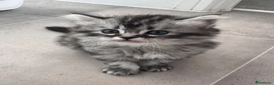 Marble