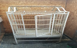 Cockatiels birds for sale: Bird cage for sale - Image 2