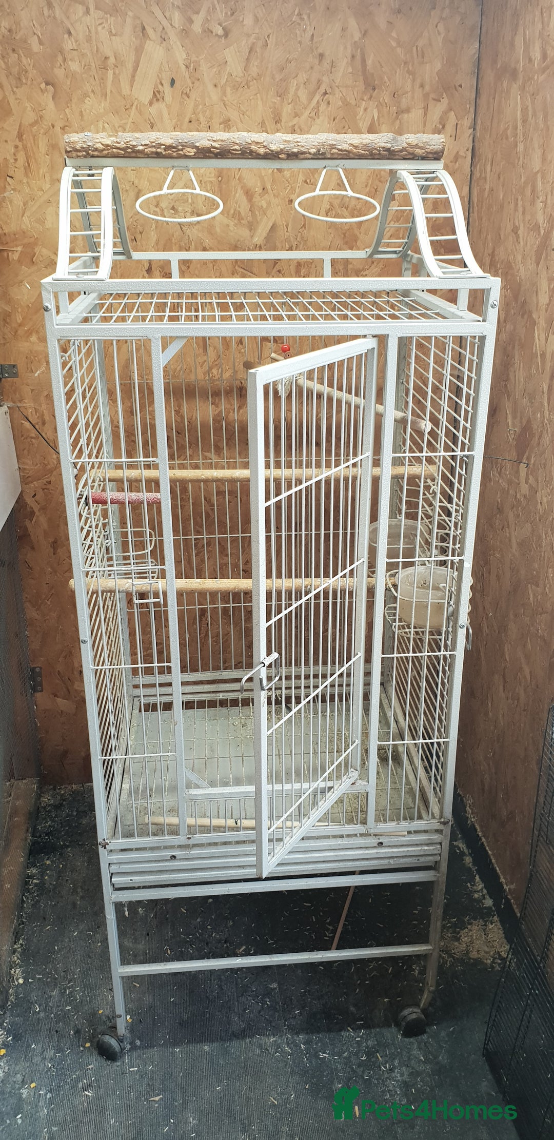 Cockatiels birds for sale: Bird cage for sale - Image 2