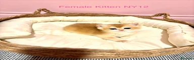 BSH 2