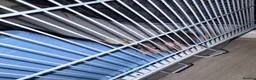 Rat rodents for sale: 4 male rats for adoption.(Cage included plus more) - Advert 13