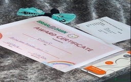 British Shorthair cats for sale: 🐱Blue&Felix- Bonded brother & Sister💛 - Advert 11