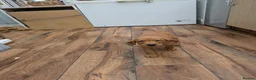 Labrador Retriever dogs for sale: Red and golden labs  - Advert 8