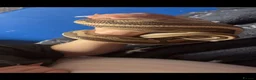 Python Snake reptiles for sale: Pastel Royal python  in Gloucester - Advert 8