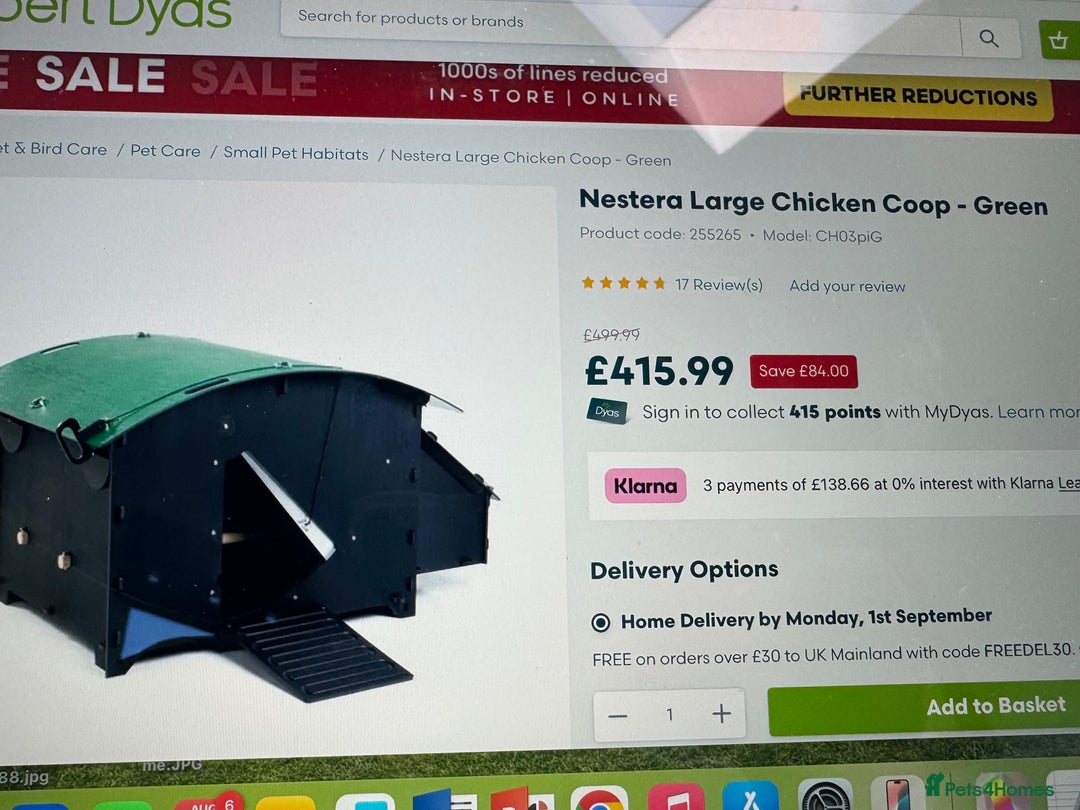 Chickens poultry for sale: Complete chicken 🐓 set up 😍 - Image 8