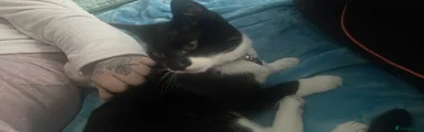 Oliver
