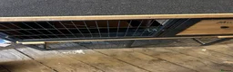 Guinea Pig rodents for sale: Guinea pigs and full set up  in Tamworth - Advert 6