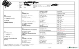 British Shorthair cats for stud: 🐻 BEAR 🐻 BRITISH SHORTHAIR FOR STUD DUTY GCCF - Image 2