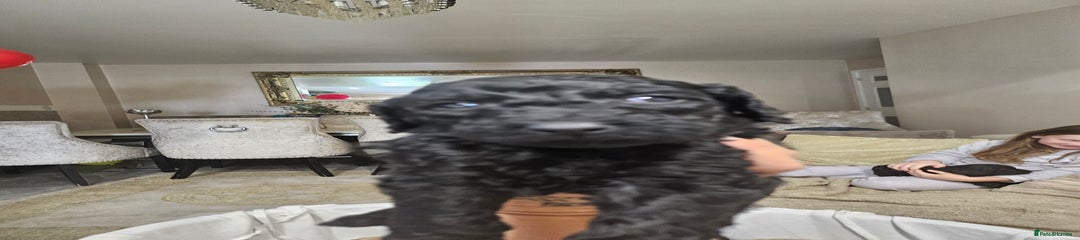 Black girl 2
