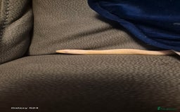 Corn Snake reptiles for sale: Male snow tessera corn snake for sale  in Orpington - Advert 2